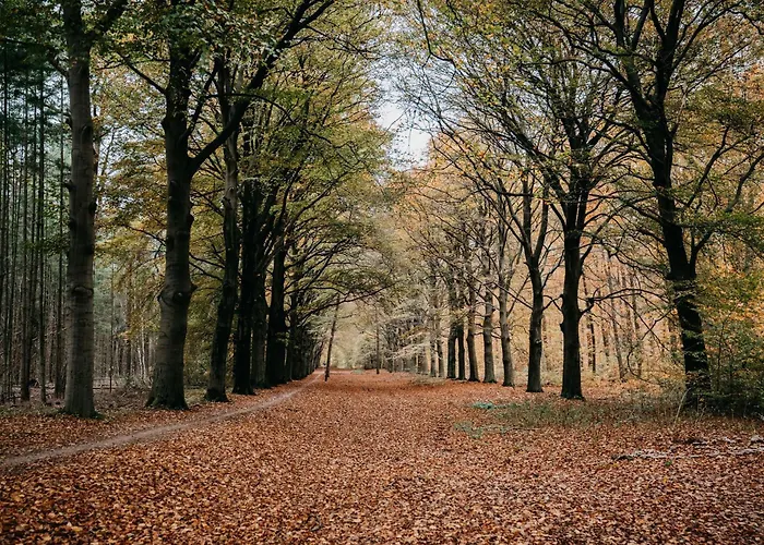 De Kastanjehof